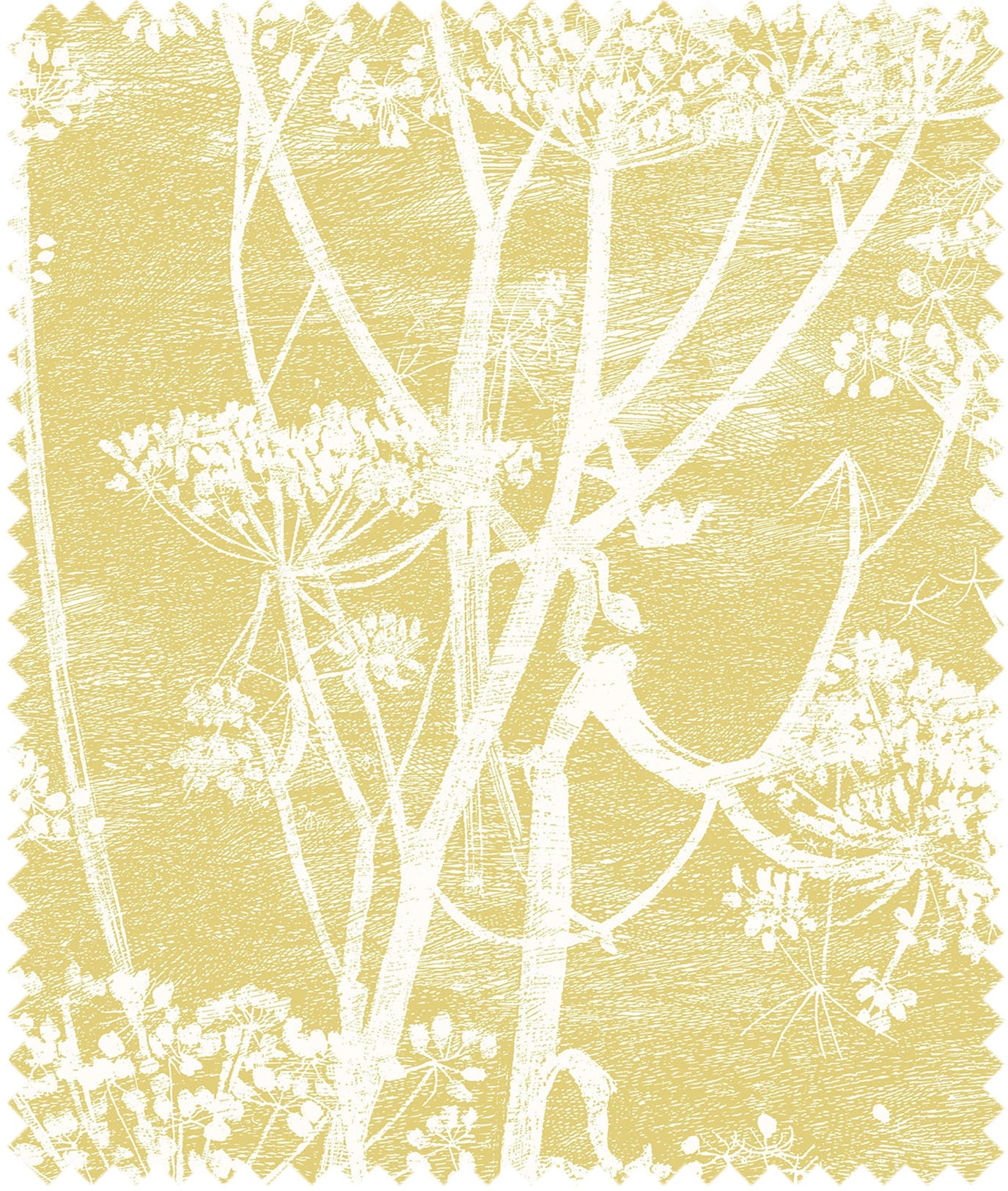 Cow Parsley Linen