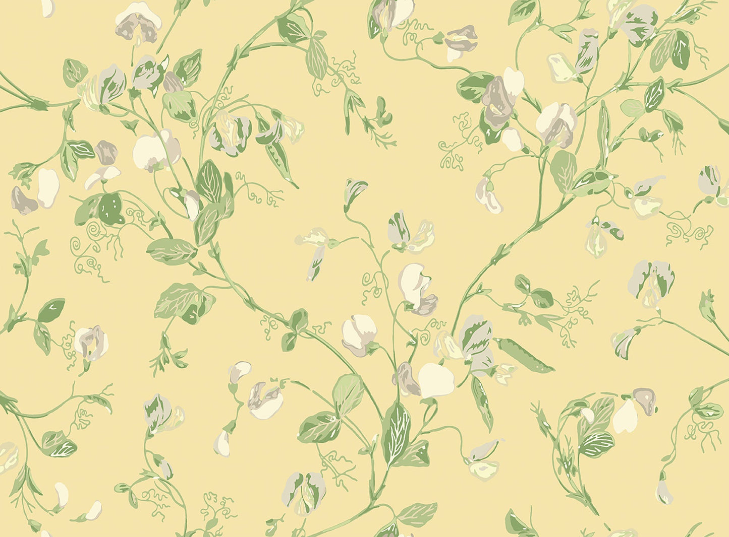 Sweet Pea Archive Anthology Wallpaper