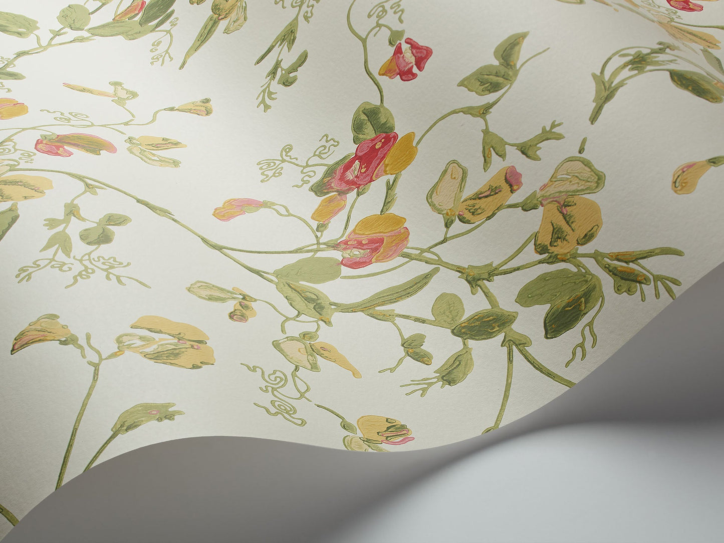 Sweet Pea Archive Anthology Wallpaper