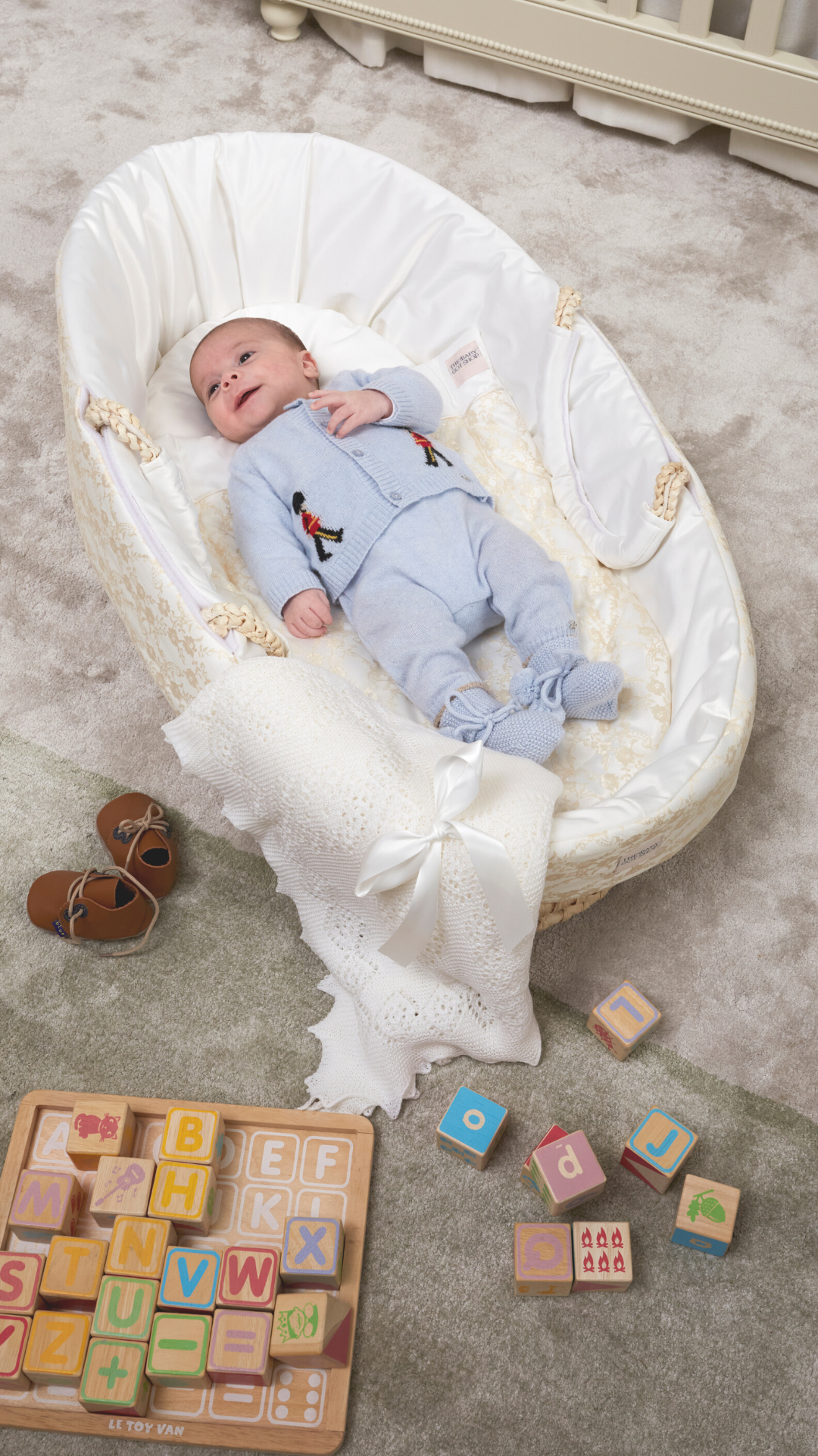 baby in newborn moses basket