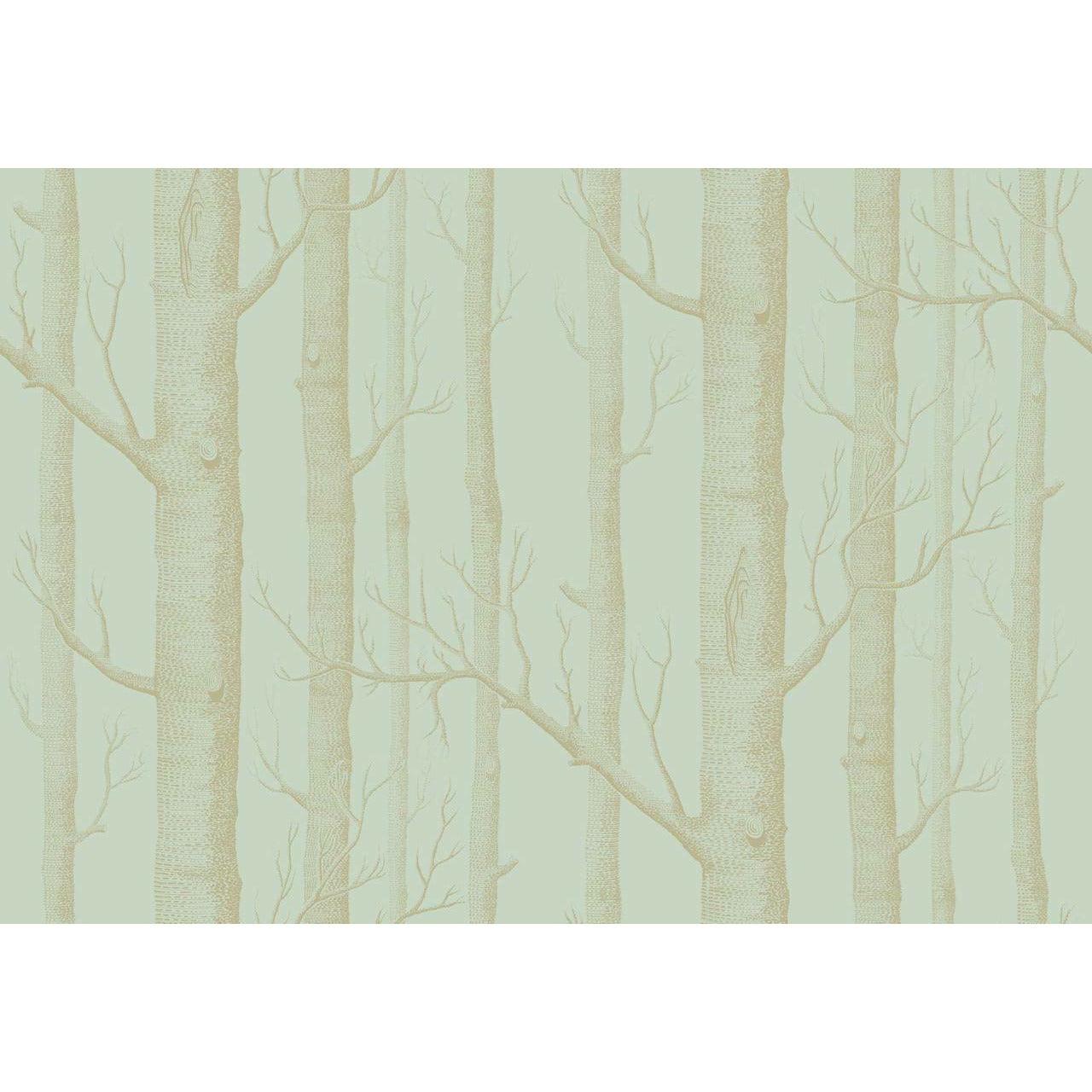 Woods Light Green Wallpaper