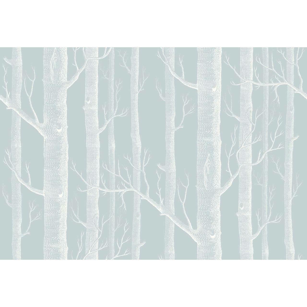 Woods Light Blue Wallpaper