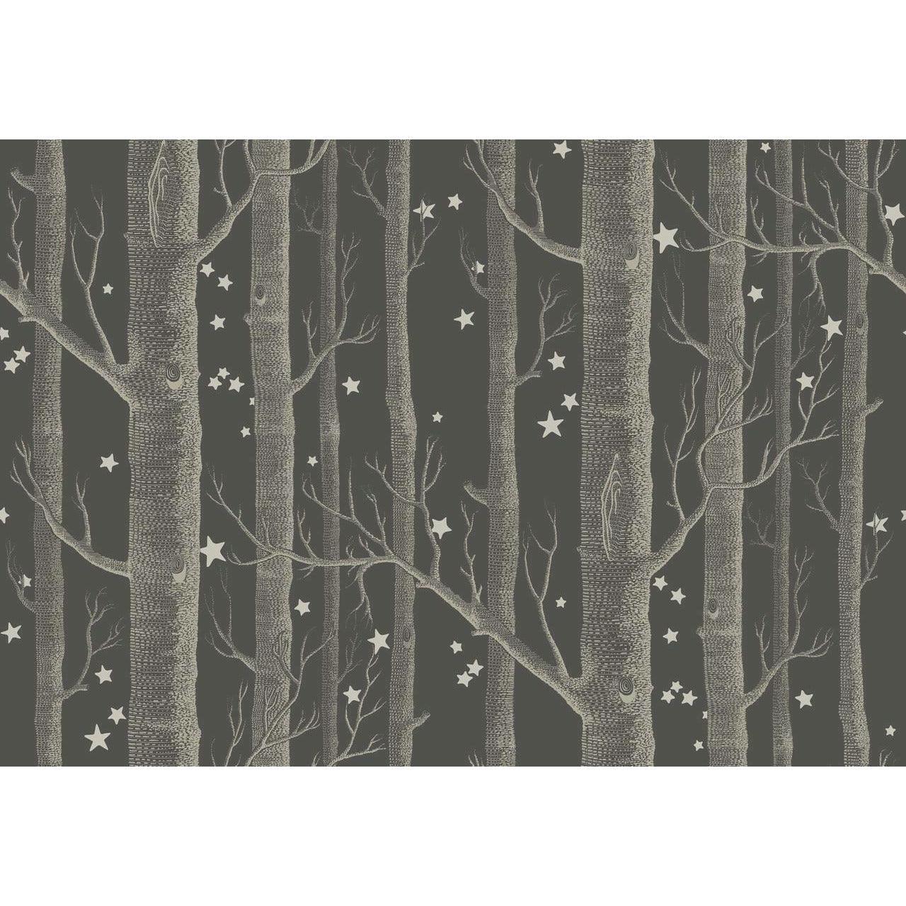 Woods and Stars Dim Grey Wallpaper